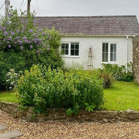 Daffodil House , West Wales Llandovery Exterior foto
